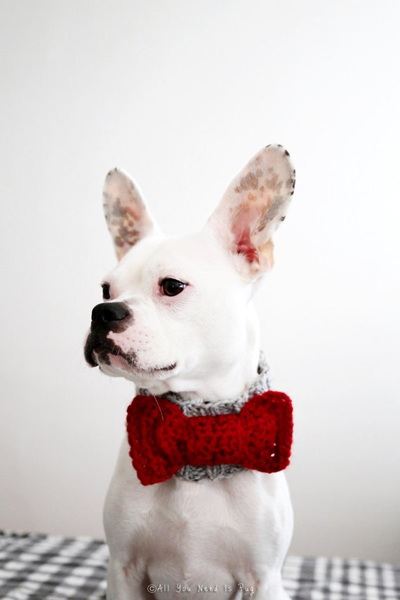 Custom Bow Tie Dog Collar Bow Tie Dog Neck Warmer Pug