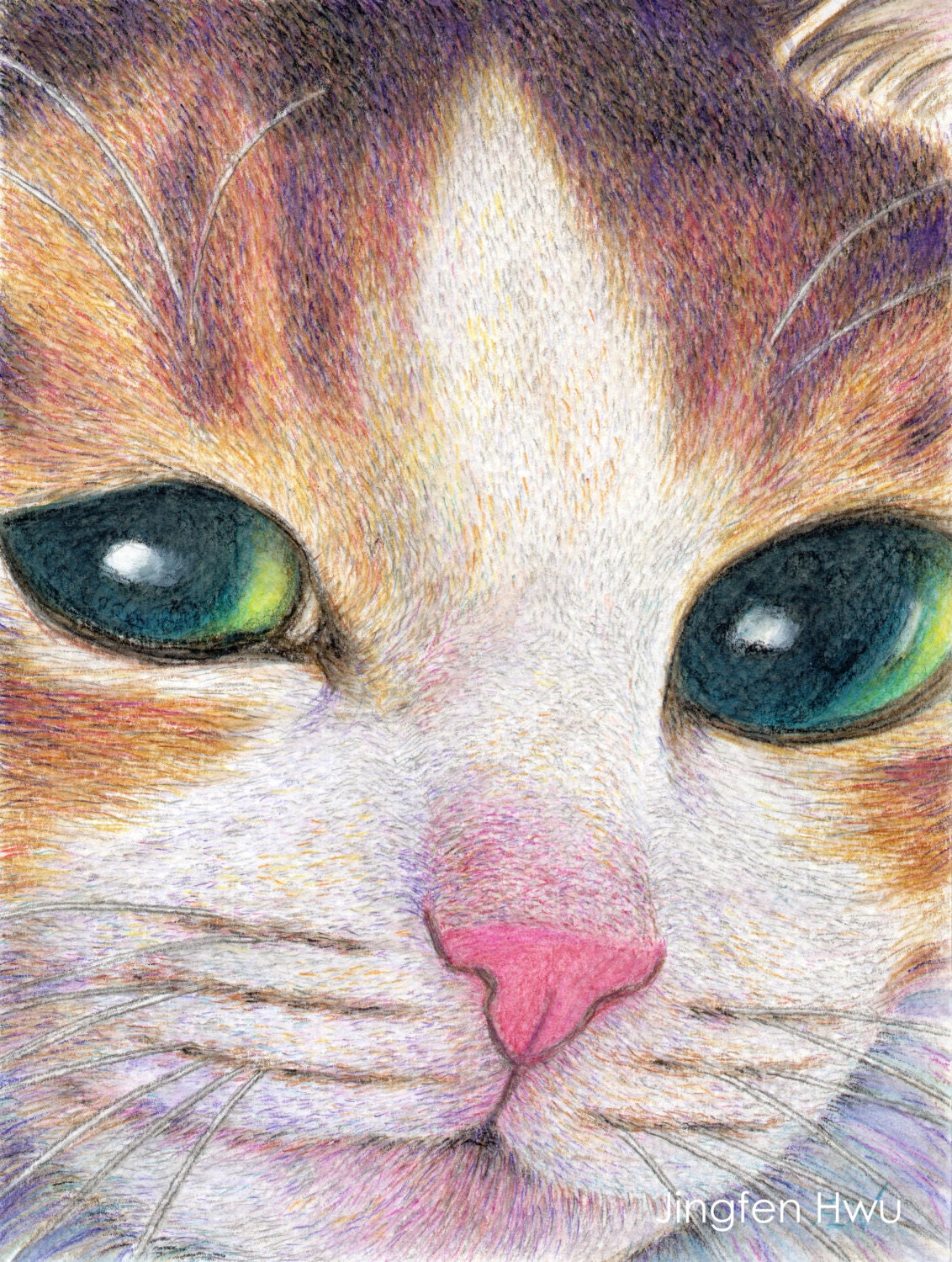 calico cat drawing digital print closeup of a calico cat