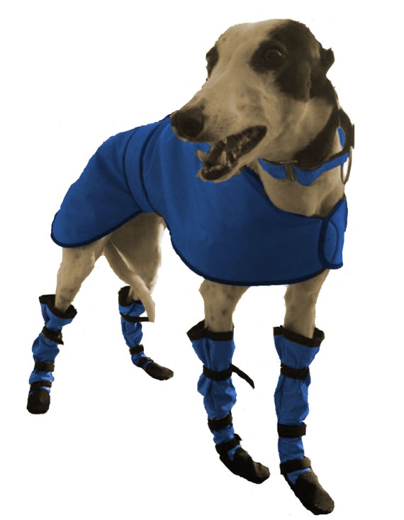 GreyHound High Top Large Breed Nylon Long Custom by Woofsdogboots