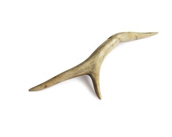 Antler Hair stick, coil, Hair Stick, Hand Carved Roe Deer, Hairpin, Unicorn Horn, Forest Piece, Natural Hair Accessory Handmade, MariyaArts