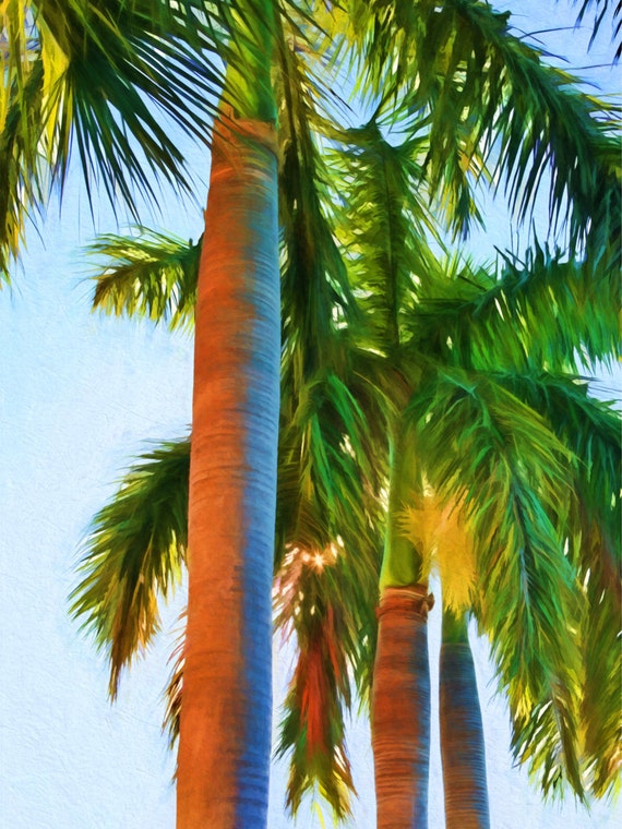 Royal Palm Trio Palm Trees Tropical Art Palm Tree Print