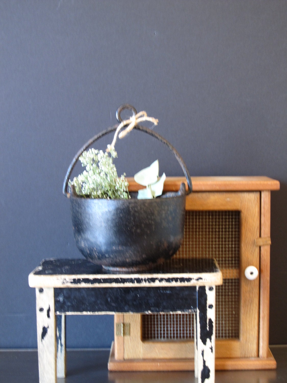 Cast iron cauldron planter farmhouse rustic decor
