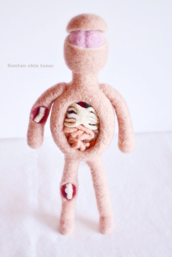 Anatomy Art Doll DEPOSIT for custom order. Human by WoolyTopic