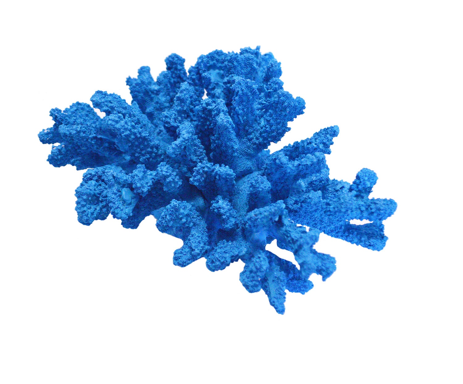 Large Decorative Blue Sea Coral Polyresin Sculpture Display truly Sea Coral Home Decor