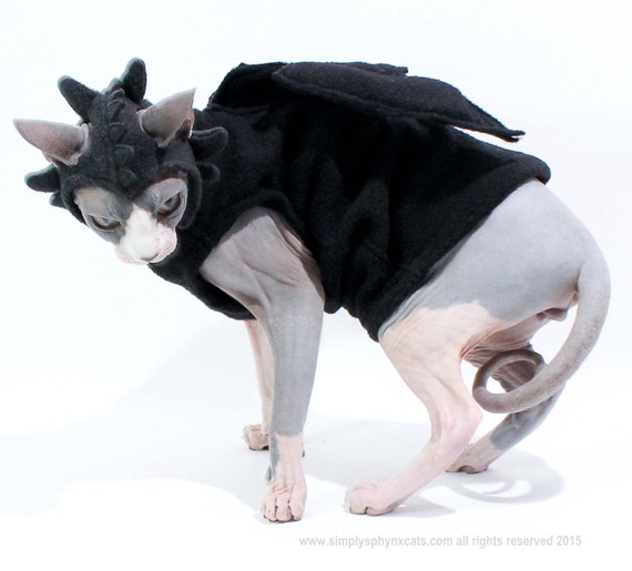 dragon toothless costume cat halloween pet sweater hat costumes dog train wing clothes sphynx revisit later favorites hats