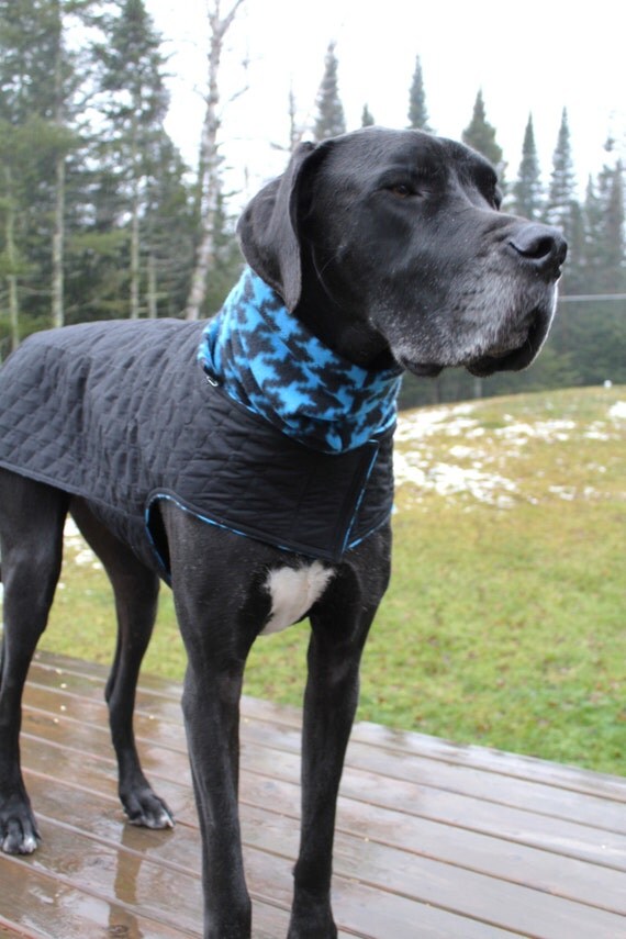 XL Dog Jacket w/ Hoodie / Great Dane Jacket/ XXL Handmade Dog