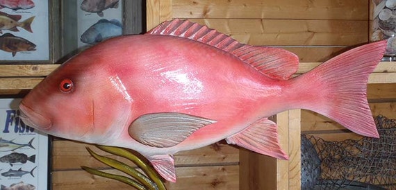 Red Snapper 22 inch Wood carved ready to ship wall by fishonart