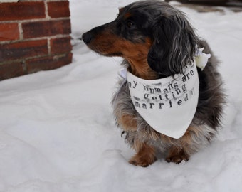 Wedding dog bandana dog wedding pet wedding dog collar dog wedding bandana pet bandana pet photo prop rustic wedding dog of honor