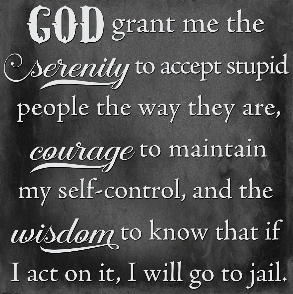 Stupid People Serenity Prayer Humorous sign SVG DFX PNG Eps Vinyl Silhouette Cameo Cricut Cutting Machine