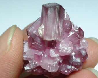 TOURMALINE 13.7 Gram Rubellite Pink Bicolor Terminated Crystal Cluster Jewelry (Old Stock) Wire Wrap Supplies