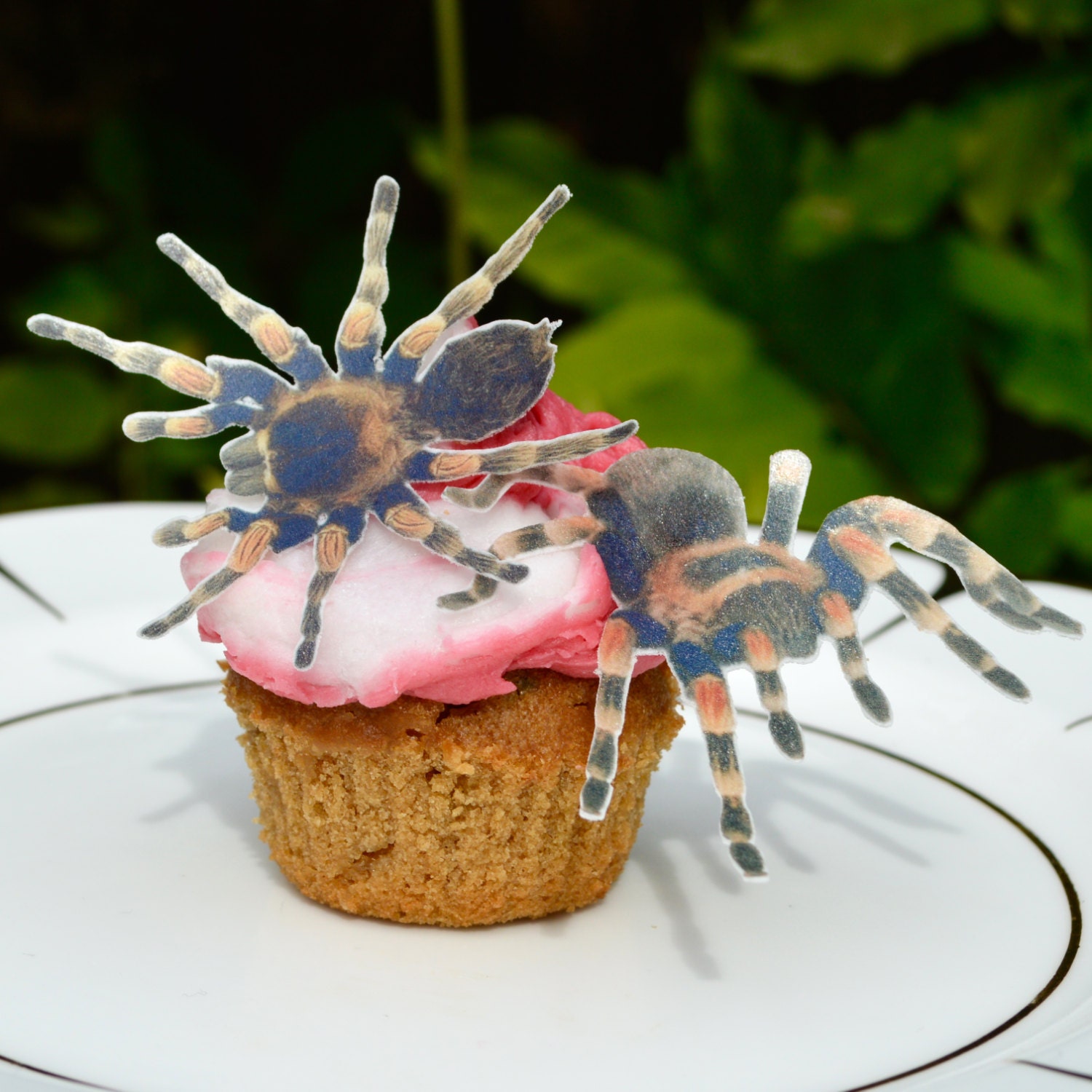 Edible Spiders Eeek Creepy x 18 Spider by WicksteadsEatMe on Etsy