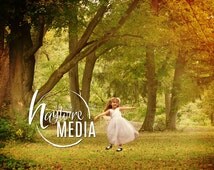 fall backdrops for photography fall backdrops for photography
