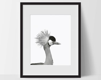 Art Print, Dramatic Bird Art, Printable, Digital Print, Bird Print, Wall Art, 8x10, Decorations, Bird, Black and White, Art