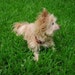 kortney