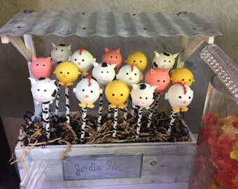 Chocolate Covered Farm Theme Cake Pops, One Dozen