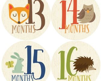 Monthly Baby Sticker Boy, Baby Month Sticker, Woodland, Milestone Sticker, Months 13-24, Month by Month Baby Sticker, Baby Gift, Baby