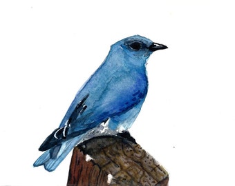 Watercolor Mountain Bluebird Print 8 x 10