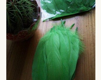 1 feather for various confections * feathers F 107