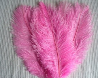 1 feather for various confections * feathers F 102