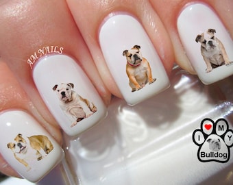 58 English Bulldog Nail Decals