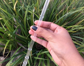 Paille Calamus - Natures Design Glass Straw