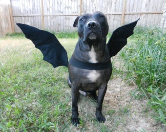 Bat Wings Dog Halloween Costume , Custom made to fit