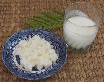 Organic Milk Kefir Grains - Live, a Symbiotic Culture of Bacteria and Yeasts. 1 tablespoon
