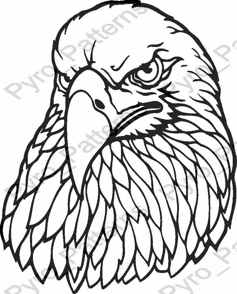 pyrography-wood-burning-eagle-head-bird-pattern-printable