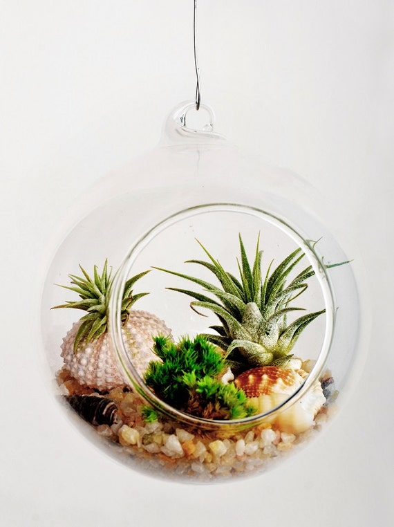 Hanging Orb Terrarium kit with natural quartz sand2