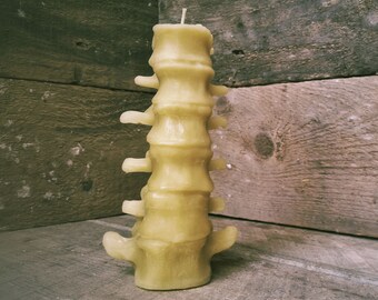 Medium Human Spine Candle, Spooky Beeswax Halloween Candle