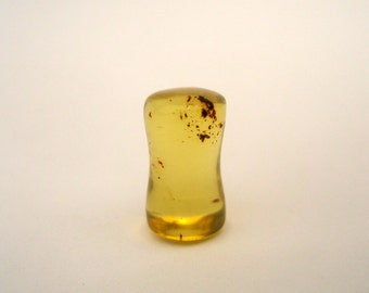6mm Amber Plug, 2g plug, 1/4 Inch Plug, Single Amber Plugs, Labret Plug, Natural Plugs, Stone Plugs, Labret Expansions, Lip Plug