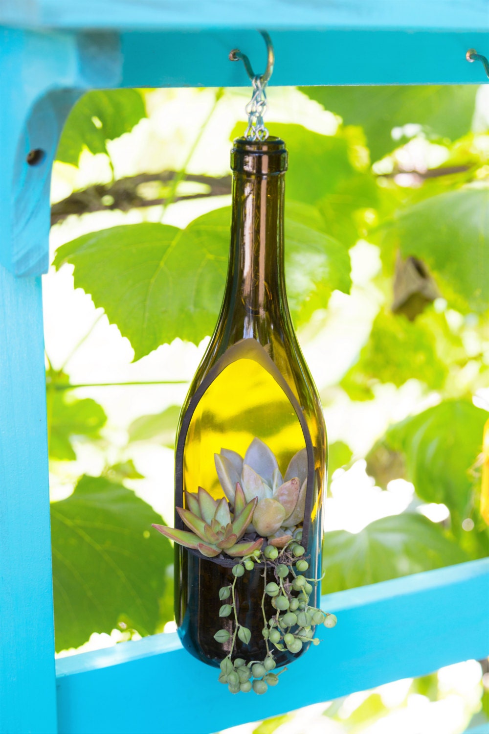 SALE Hanging Wine Bottle Planter / Hanging by