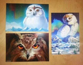 Postcard set. Owls. Set of 3. Author postcards. Owl postcard. Animals postcard. Greeting cards.