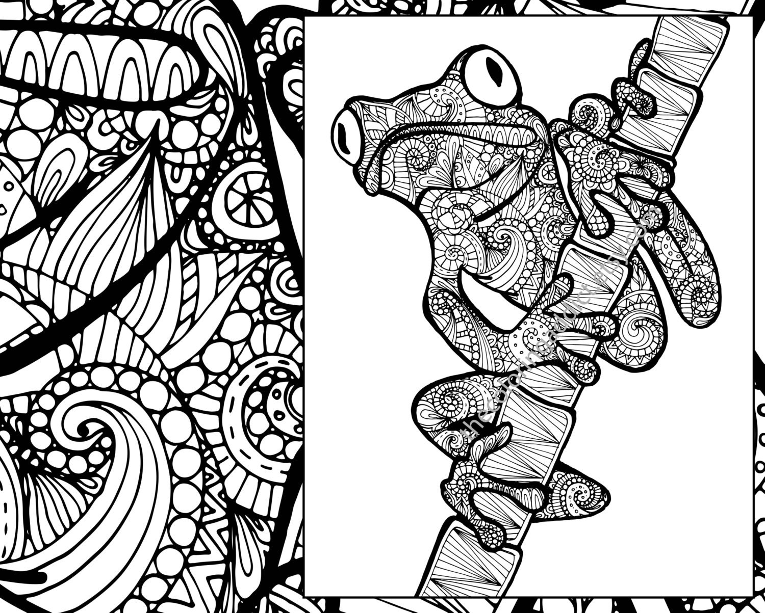 Download frog coloring sheet animal coloring pdf zentangle adult