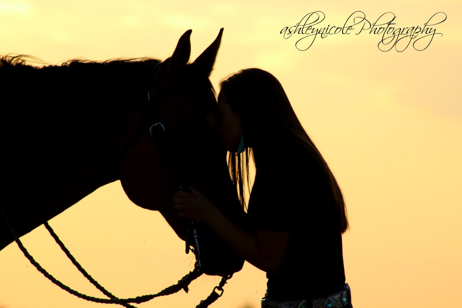 Silhouette Photography Horse photography Girl and horse