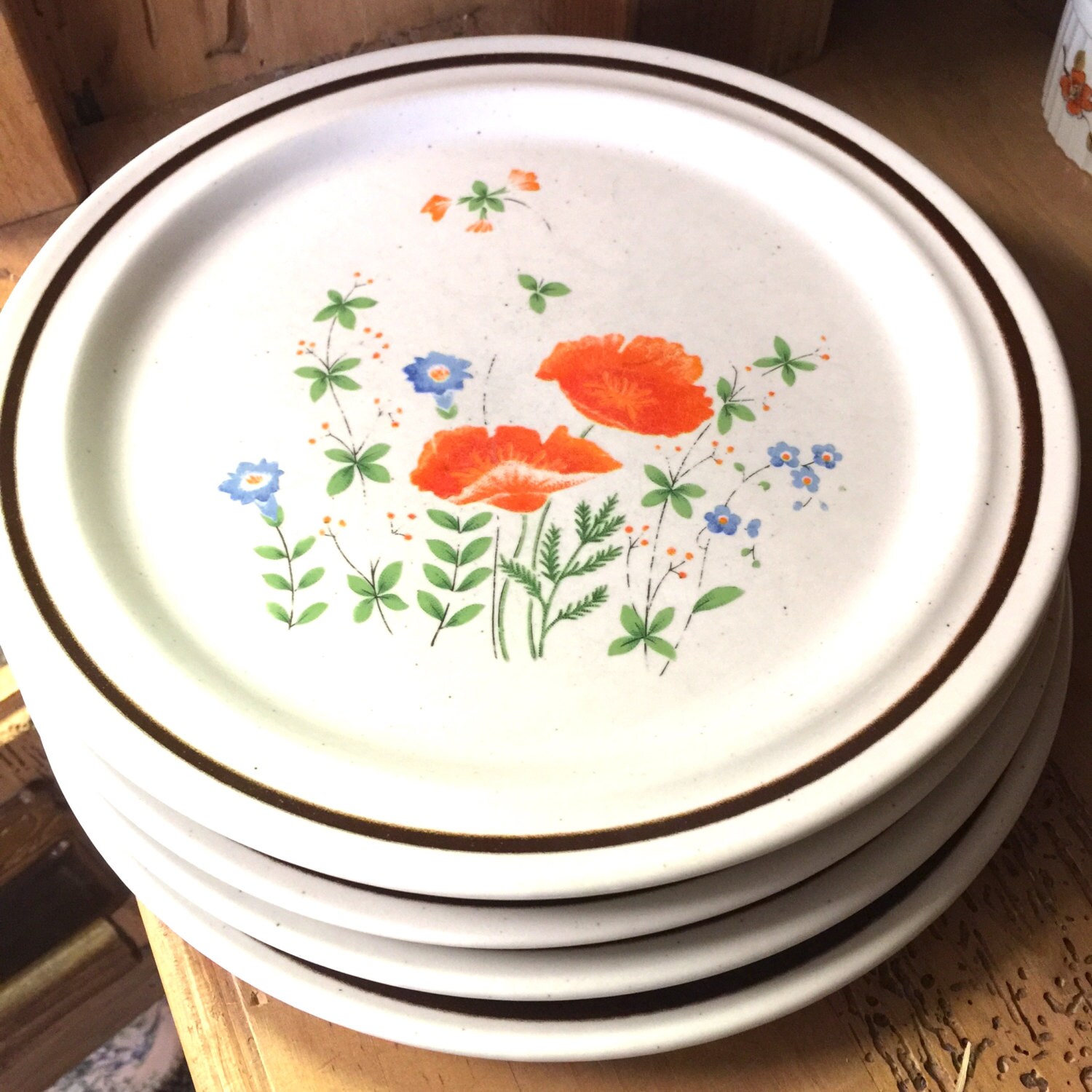 Vintage Haniwa Stone Japan Speckled Stoneware Dinner Plates