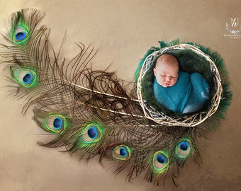 Newborn Digital Backdrop feather/ prop (Percy)