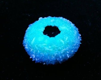 Crystallized Sea Urchin Shell