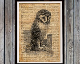 Barn owl art | Etsy