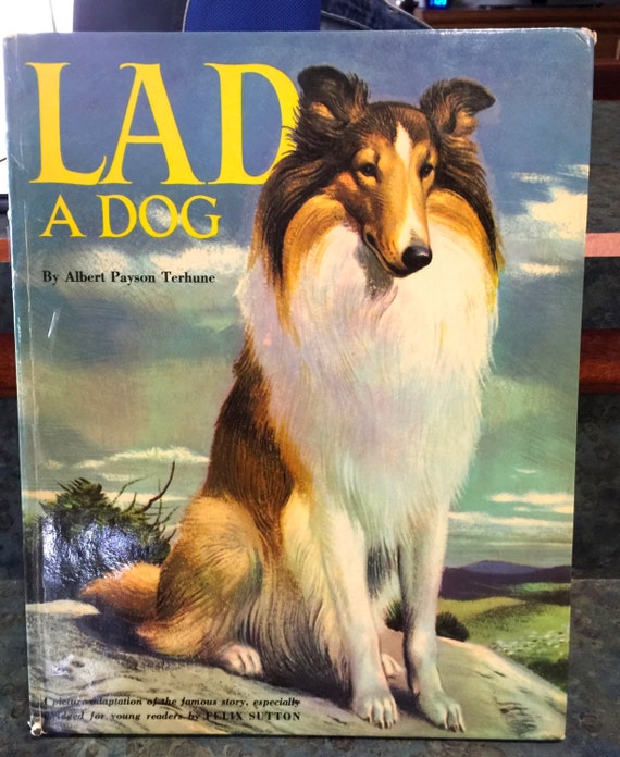 Lad: a dog full movie picture
