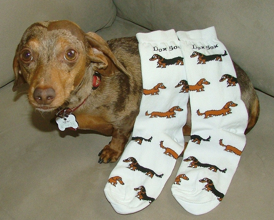 Dachshund Socks Longhair Dox Sox