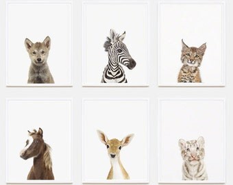 Baby Animal Nursery Art Print: Baby Zebra Little Darling.