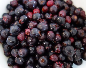 1 Ounce Juniper Berries - Wicca Pagan Herbs Botanica 1oz Juniper Berries - Exorcism Spell Lust Spell Protection Spell Male Potency
