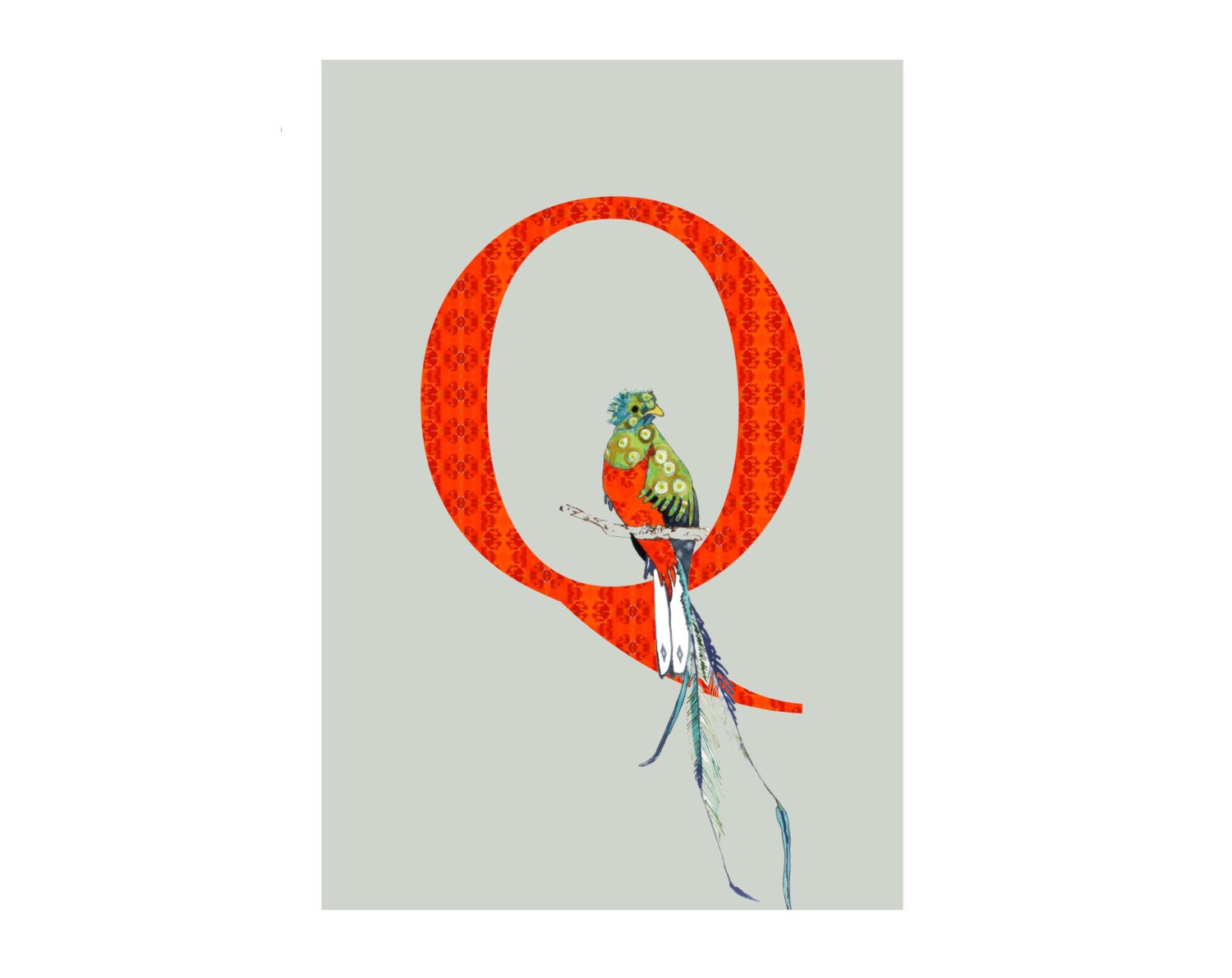 Q Is For Quetzal Alphabet Art Print Nursery Art