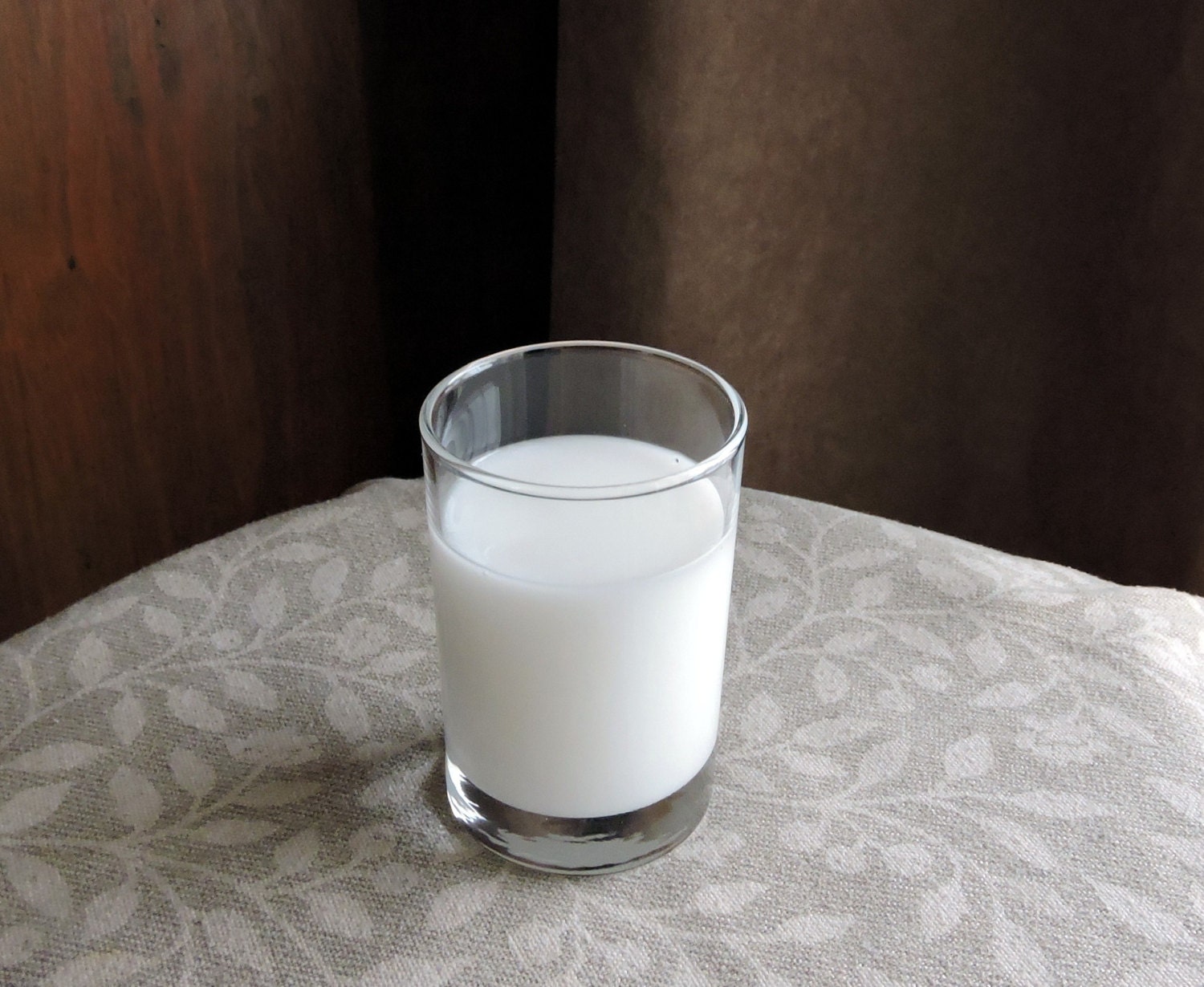 Fake Small Glass Of Milk 35 Tall Fake Food Photo