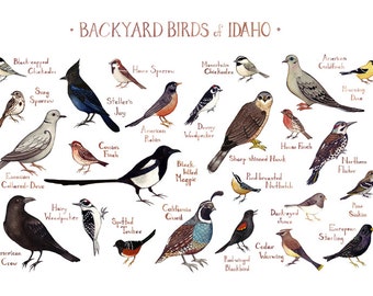 west virginia backyard birds field guide art print west virginia backyard birds field guide art print