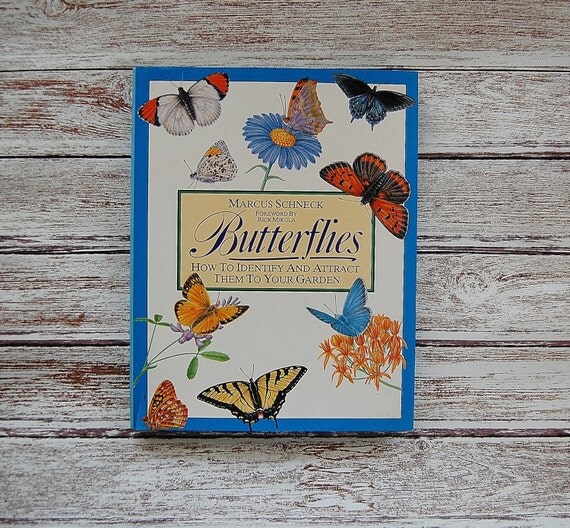 Butterflies Book Field Guide How To Identify And By