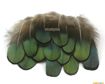 50 Pieces Dark Green Feather 4-8cm (YM35)