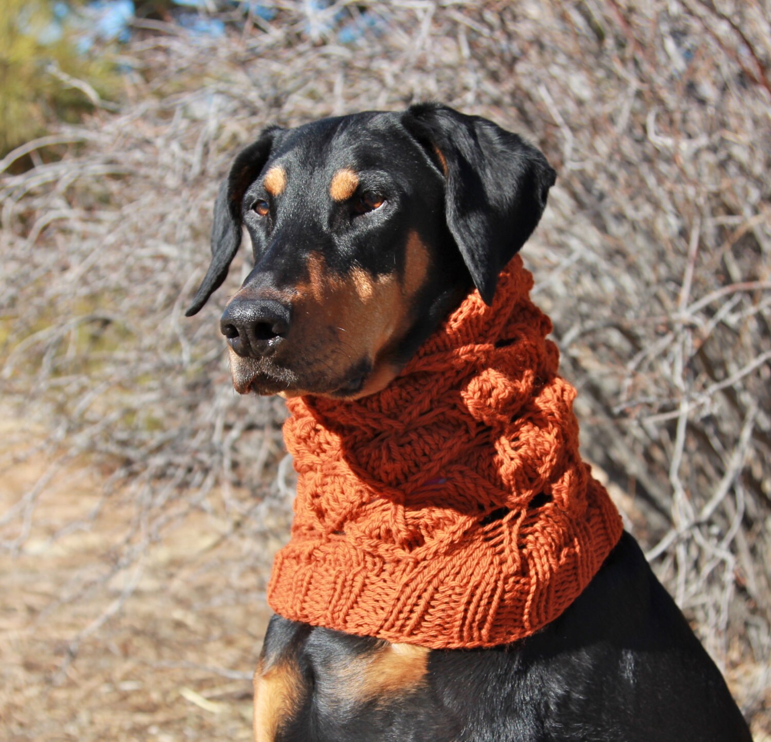 Lacey Leaf Dog Snood PATTERN for size medium to large dog