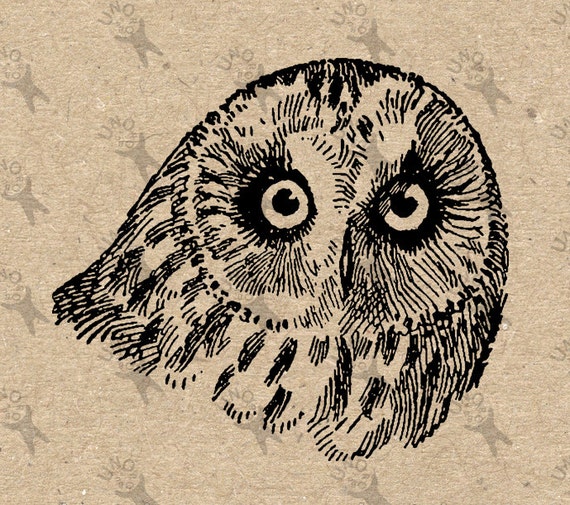 owl head clip art - photo #28